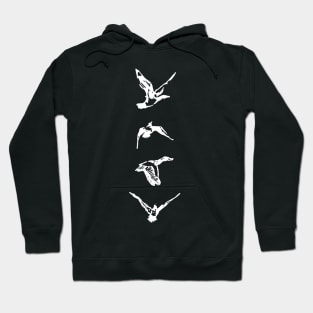 Birds Flying Hoodie